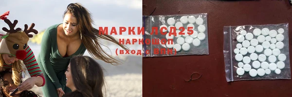 крисы Алексин