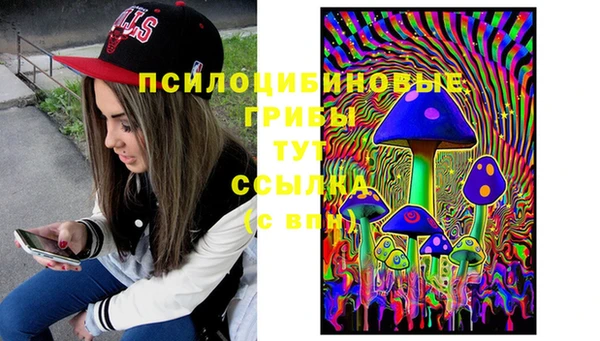 Альфа ПВП Алексеевка