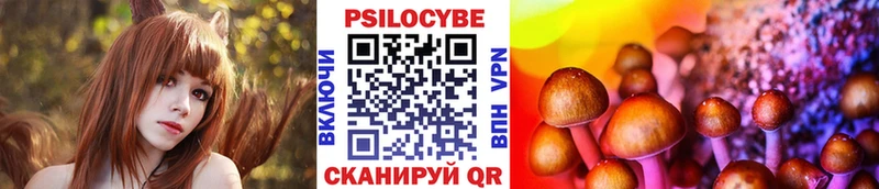 Псилоцибиновые грибы MAGIC MUSHROOMS  kraken   Нижнеудинск  закладка 