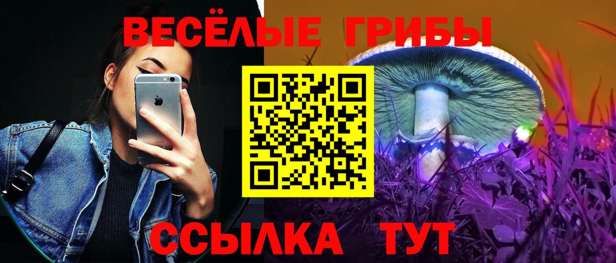 Галлюциногенные грибы мухоморы Нижнеудинск