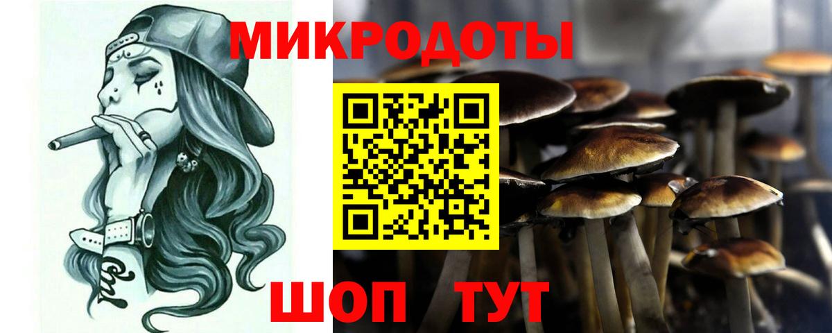 закладки  Галлюциногенные грибы мухоморы  Вход с VPN  Нижнеудинск  Галлюциногенные грибы Cubensis 